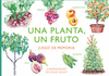 UNA PLANTA UN FRUTO
