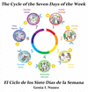 THE CYCLE OF THE SEVEN DAYS OF THE WEEK/EL CICLO DE LOS SIETE DIAS DE