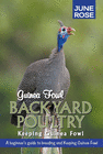 GUINEA FOWL, BACKYARD POULTRY
