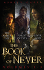 THE BOOK OF NEVER