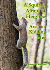 A SQUIRREL AFRAID OF HEIGHTS? ARE YOU KIDDING ME?