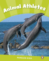 PENGUIN KIDS 4 ANIMAL ATHLETES READER CLIL