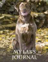 MY LAB'S JOURNAL
