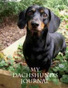 MY DACHSHUND'S JOURNAL