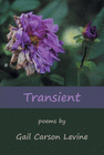 TRANSIENT