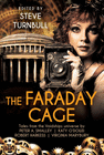 THE FARADAY CAGE