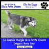 LA JOURN�E CHARG�E DE LA PETITE CHIENNE (DOGGY'S BUSY DAY)