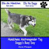 HUNDIS AUFREGENDER TAG (DOGGY'S BUSY DAY)