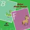 QUBEE AFAAN OROMOO - AFAAN OROMO ALPHABET