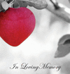 IN LOVING MEMORY FUNERAL GUEST BOOK, CELEBRATION OF LIFE, WAKE, LOSS,