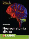 NEUROANATOMIA CLINICA. 26 EDICIN