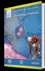 MORFOLOGIA HUMANA