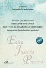 TUTELA COLECTIVA DE DERECHOS HUMANOS Y OBJETIVOS DE DESARROLLO SOSTENI