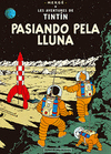 TINTIN ASTURIANO 17 PASIANDO PELA LLUNA
