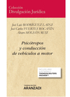 PSICTROPOS Y CONDUCCIN DE VEHCULOS A MOTOR (PAPEL + E-BOOK)