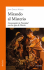 MIRANDO AL MISTERIO