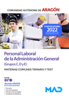 PERSONAL LABORAL (GRUPOS C, D Y E) DE LA ADMINISTRACI�N GENERAL. TEMARIO Y TEST MATERIAS COMUNES