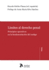 LIMITES AL DERECHO PENAL.