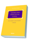 DERECHO PROCESAL CIVIL (3.� EDICI�N)