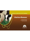 ESSENTIAL GUIDES ON CATTLE FARMING UTERINE DISEASES