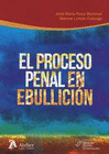 EL PROCESO PENAL EN EBULLICI�N.