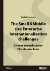 THE SMALL & MIDDLE SIZE ENTERPRISE INTERNATIONALIZATION CHALLENGES