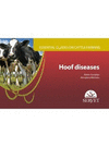 ESSENTIAL GUIDES ON CATTLE FARMING HOOF DISEASES