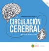 LA CIRCULACI�N CEREBRAL. UNA APROXIMACI�N