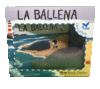 BALLENA LA (LIBRO + PELUCHE)