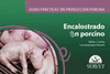 GUIAS PRACTICAS EN PRODUCCION PORCINA ENCALOSTRADO EN PORCINO