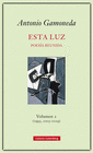 ESTA LUZ POESIA REUNIDA (2005-2019), VOL. II