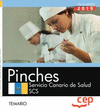 PINCHE. SERVICIO CANARIO DE SALUD. TEMARIO