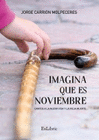 IMAGINA QUE ES NOVIEMBRE