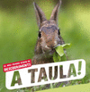 A TAULA! (CATALAN) EL MEU PRIMER ALBUM DE DESCOBRIMENTS