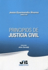 PRINCIPIOS DE JUSTICIA CIVIL