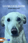 ULTIMA FLOR DEL INVIERNO