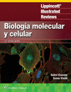 LIR. BIOLOGA MOLECULAR Y CELULAR