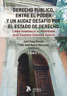 DERECHO PUBLICO ENTRE EL PODER Y UN AUDAZ DESAFIO POR EL ESTADO DE D