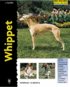 WHIPPET SERIE EXCELLENCE