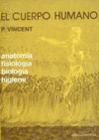 EL CUERPO HUMANO