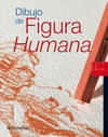 DIBUJO DE FIGURA HUMANA, AULA DE DIBUJO