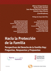 HACIA LA PROTECCI�N DE LA FAMILIA