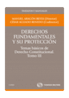 DERECHOS FUNDAMENTALES Y PROTECCION TEMAS BASICOS CONSTITUCIONAL TIII