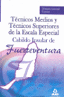 TCNICOS MEDIOS Y TCNICOS SUPERIORES DE LA ESCALA ESPECIAL DEL CABILDO DE FUERTEVENTURA. TEMARIO GENERAL COMN