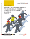 MANUAL PREVENCI�N DE RIESGOS LABORALES: PREVENCI�N DE LOS RIESGOS DERIVADOS DE LAS CONDICIONES DE SE