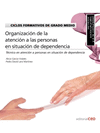 T�CNICO EN ATENCI�N A PERSONAS EN SITUACI�N DE DEPENDENCIA. CFGM