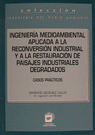 INGENIERIA MEDIOAMBIENTAL APLICADA A LA RECONVERSION INDUSTRIAL Y A LA RESTAURACION DE PAISAJES
