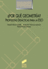 POR QU GEOMETRA?