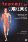 ANATOMA DEL CORREDOR