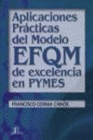 APLICACIONES PRACTICAS DEL MODELO EFQM DE EXCELENCIA EN PYMES.